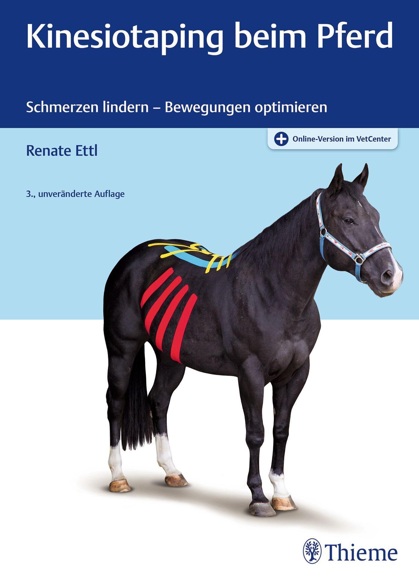 Kinesiotaping beim Pferd: Schmerzen lindern - Bewegungen optimieren