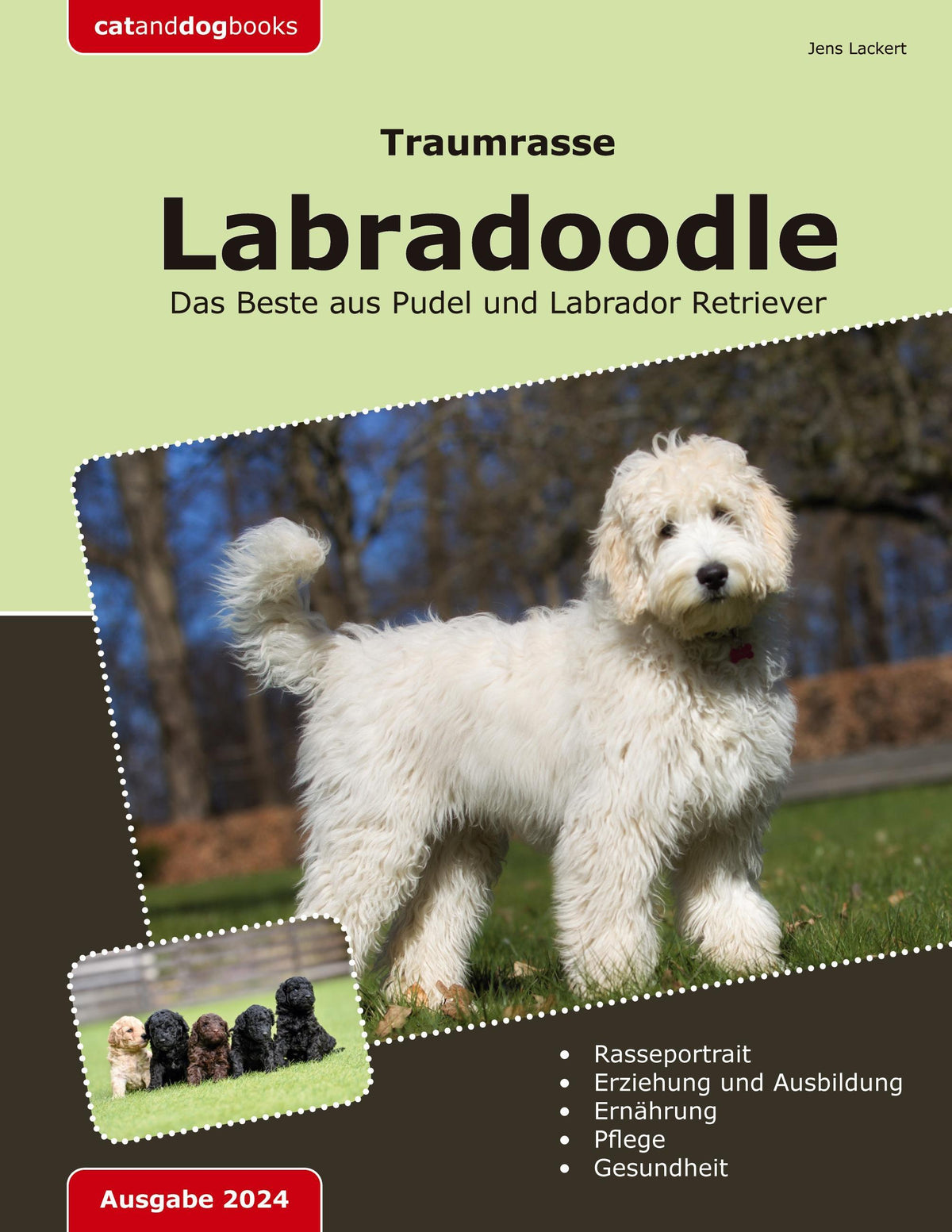 Buchcover: Traumrasse: Labradoodle