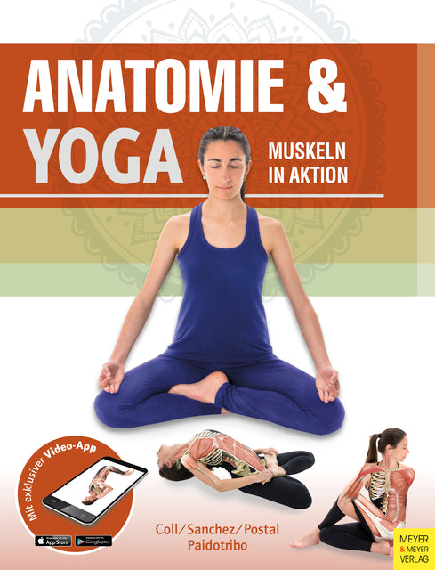 Anatomie & Yoga, m. 1 Buch, m. 1 Beilage