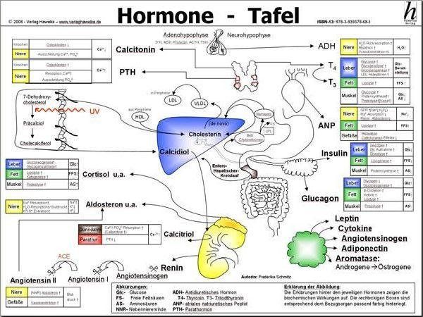 Buchcover: Hormone Tafel