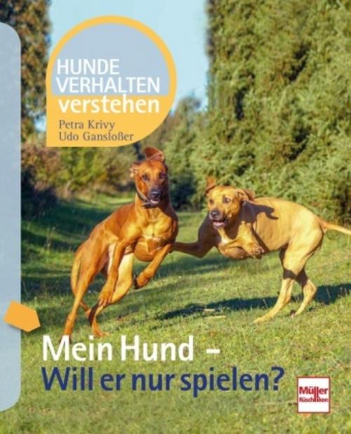 Buchcover: Mein Hund - Will er nur spielen?
