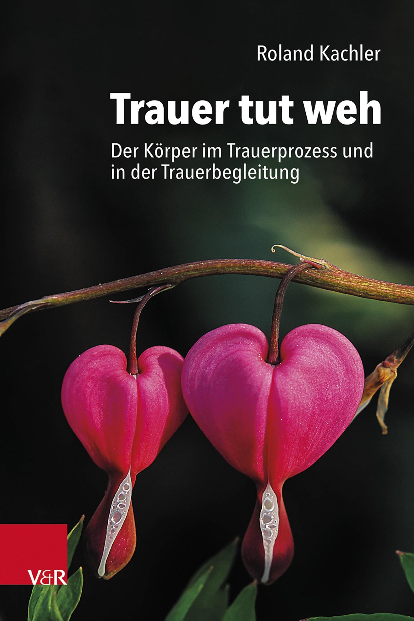 Trauer tut weh