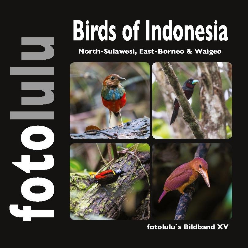 Birds of Indonesien