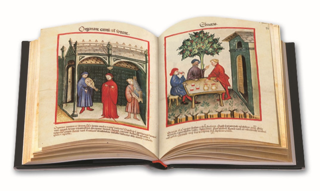 Buchcover: Tacuinum Sanitatis in Medicina