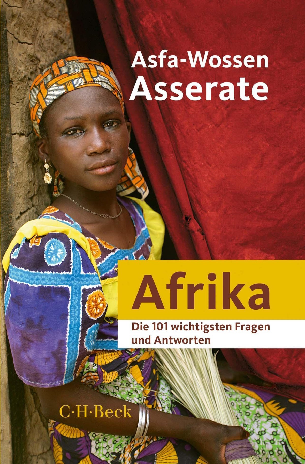 Buchcover: Afrika - Die 101 wichtigsten Fragen und Antworten