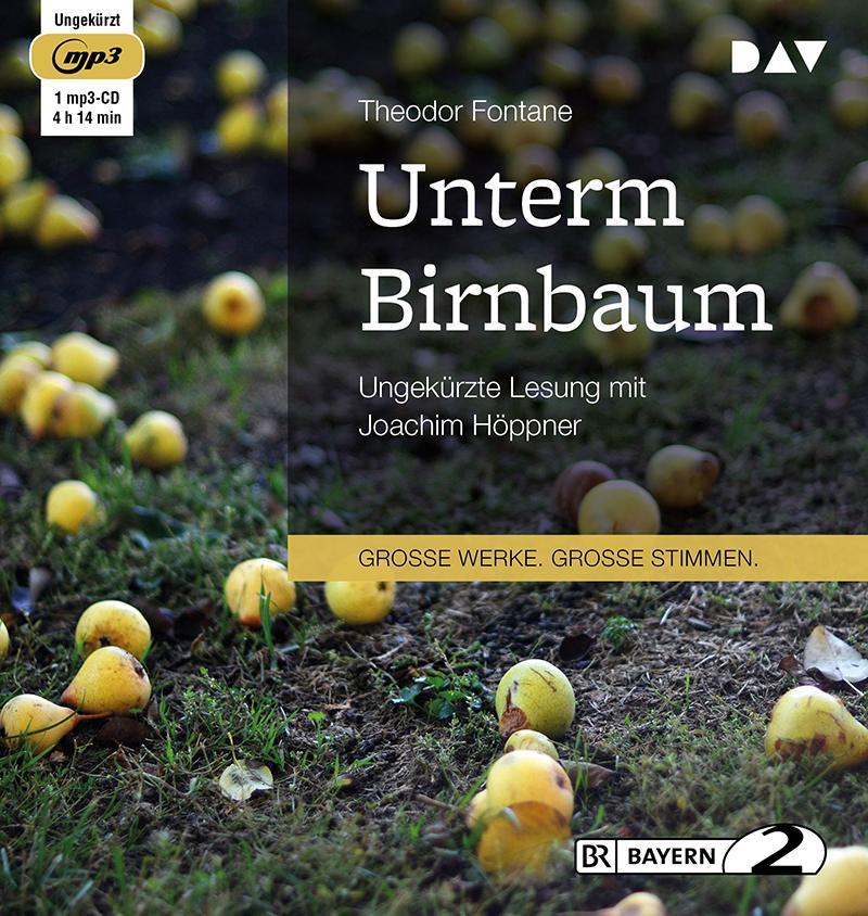 Unterm Birnbaum,1 Audio-CD, 1 MP3