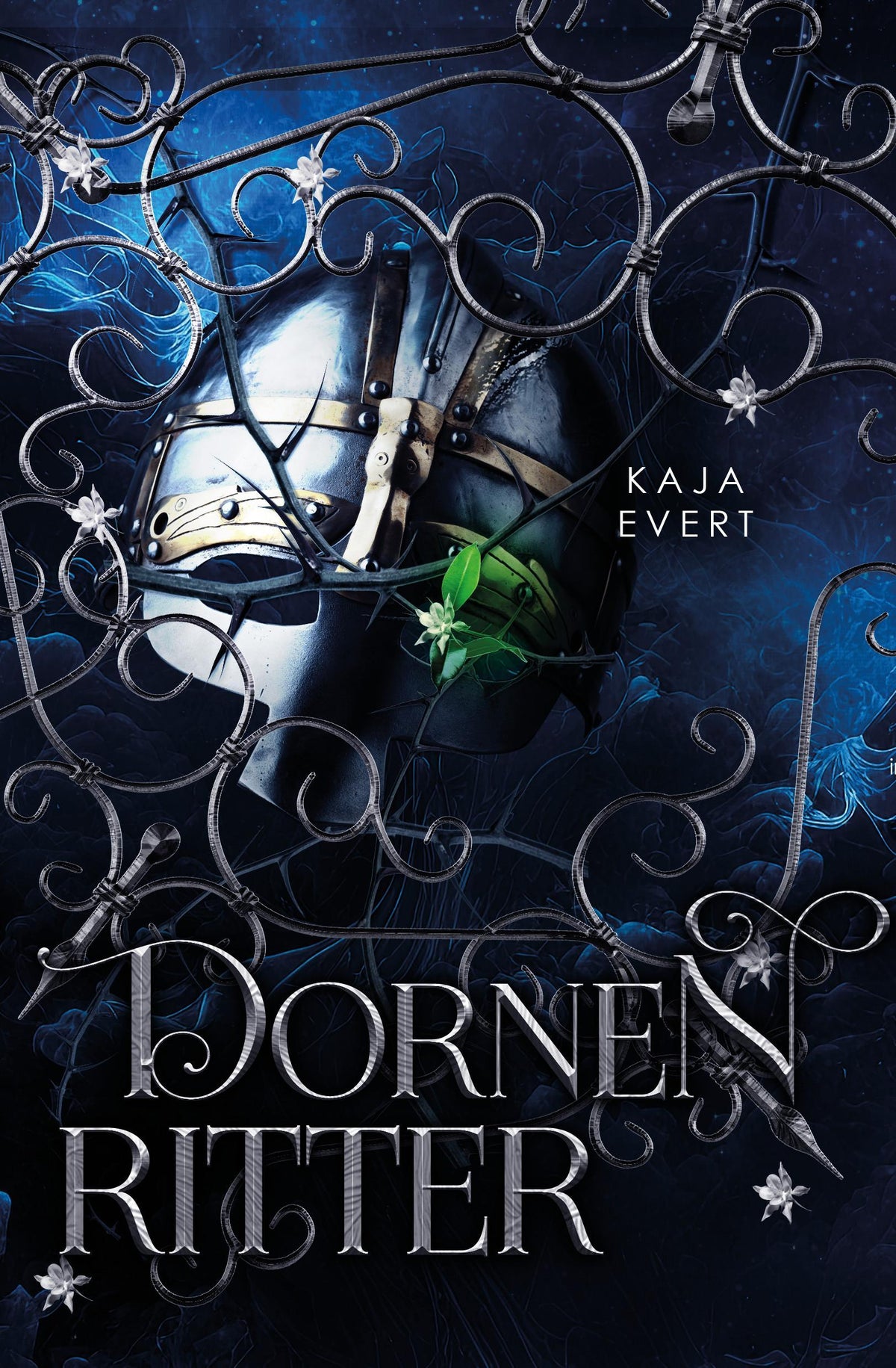 Buchcover: Dornenritter