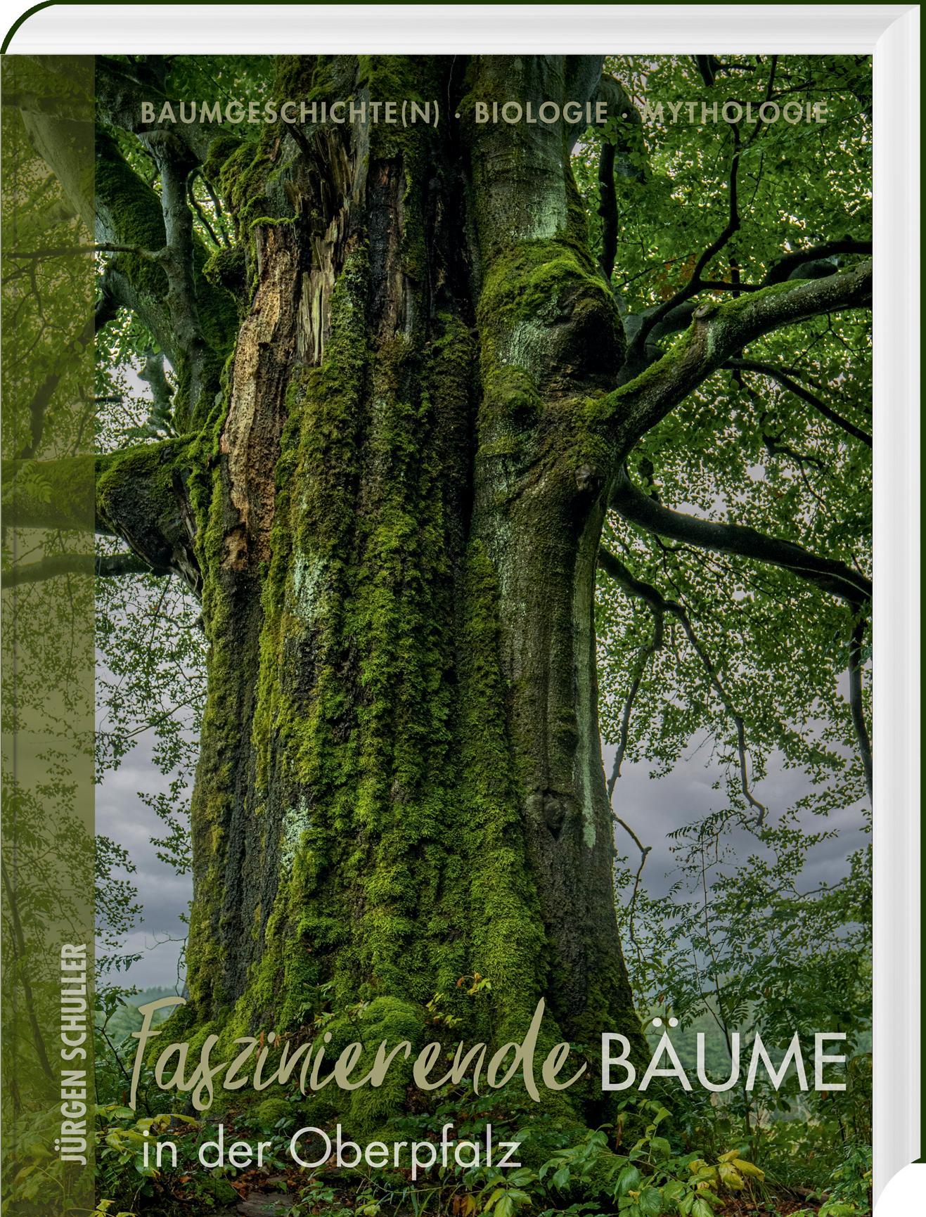 Buchcover: Faszinierende Bäume in der Oberpfalz