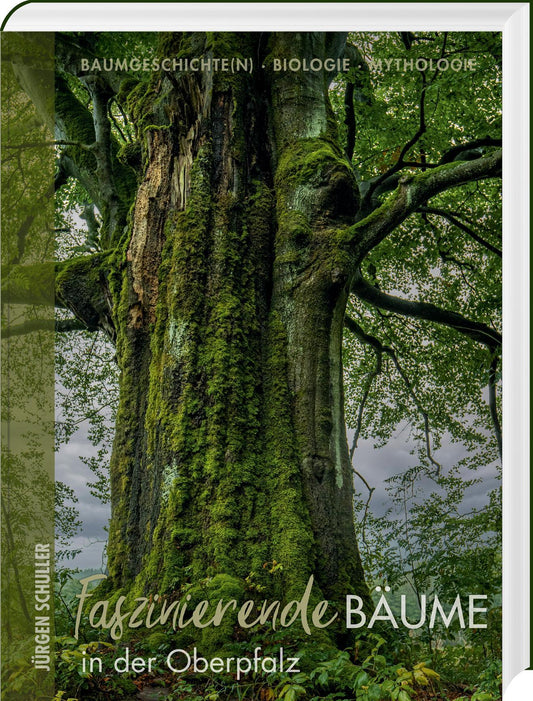 Buchcover: Faszinierende Bäume in der Oberpfalz