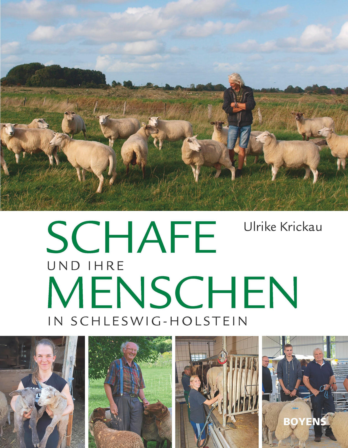 Buchcover: Schafe!