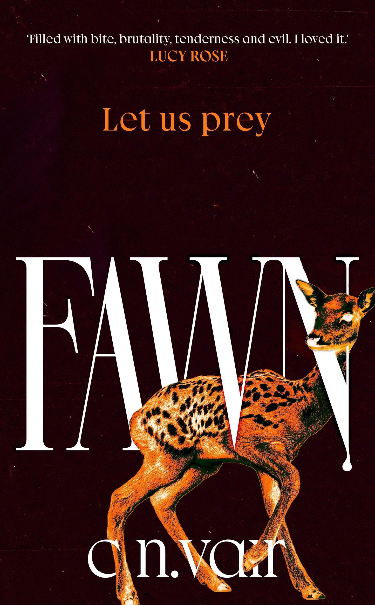 Fawn