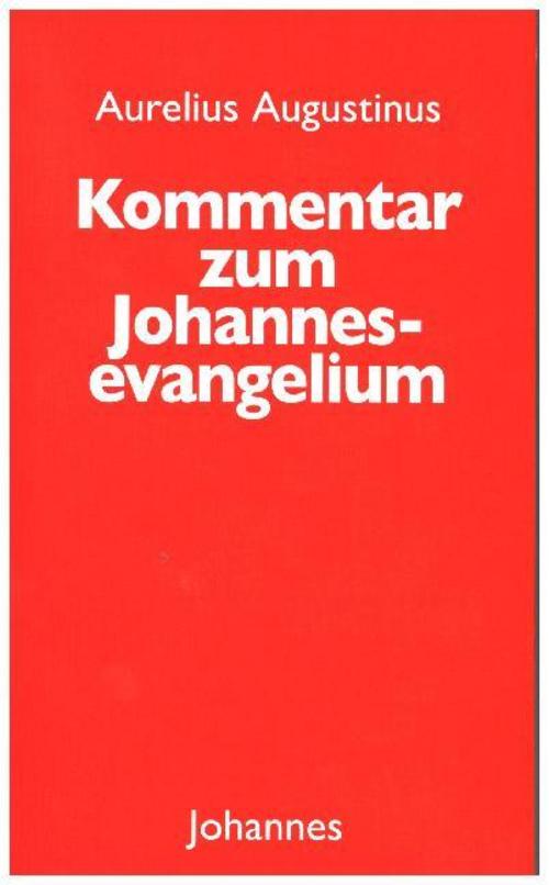 Kommentar zum Johannes Evangelium