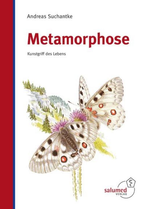 Buchcover: Metamorphose