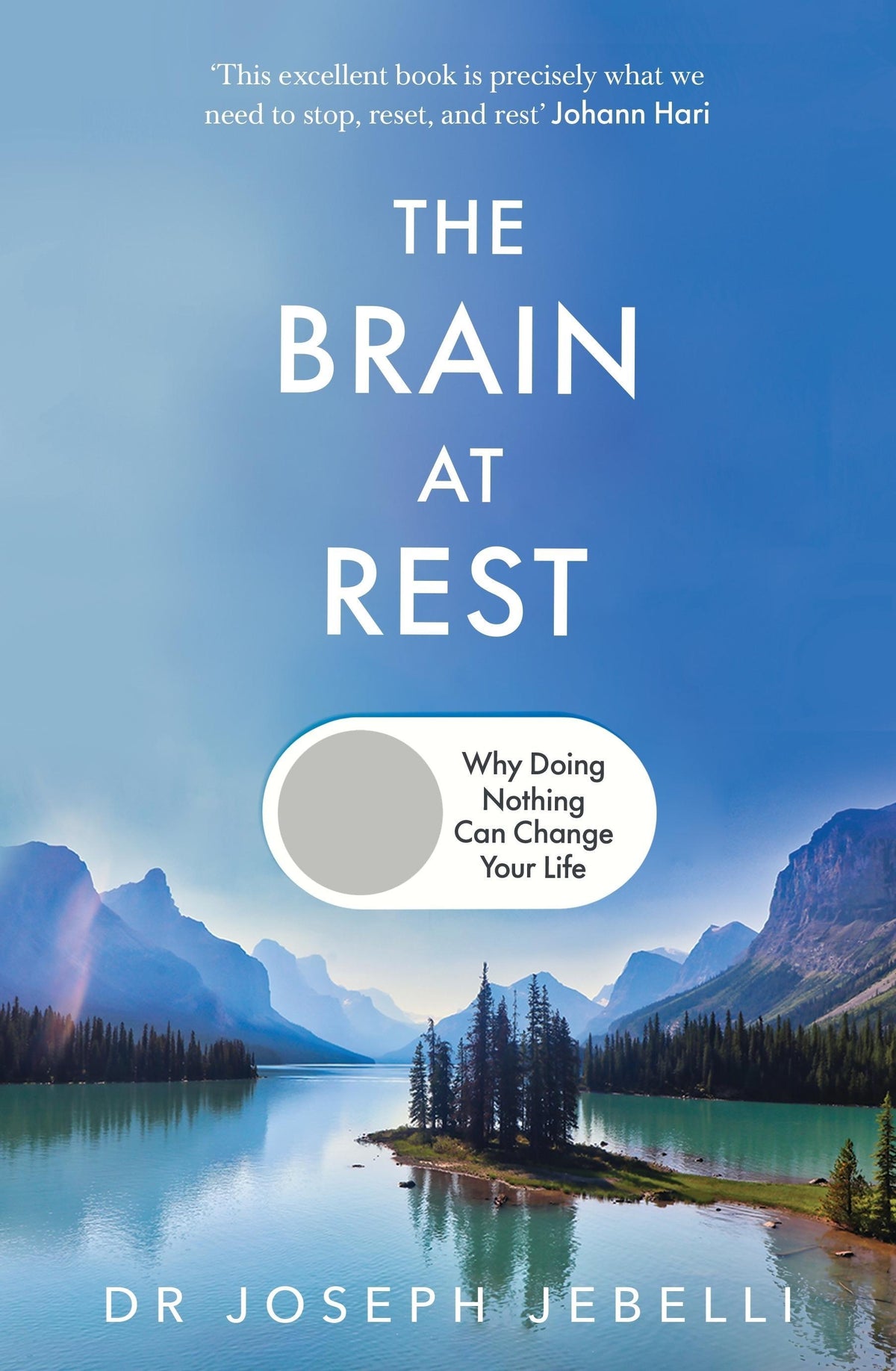 Buchcover: The Brain at Rest
