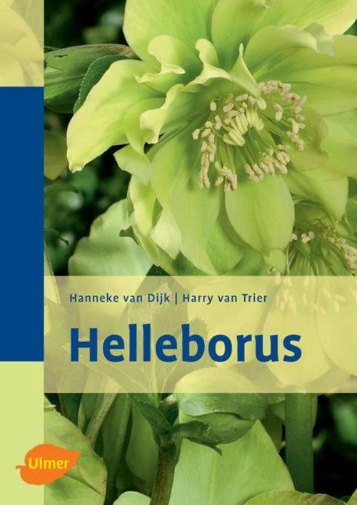 Buchcover: Helleborus