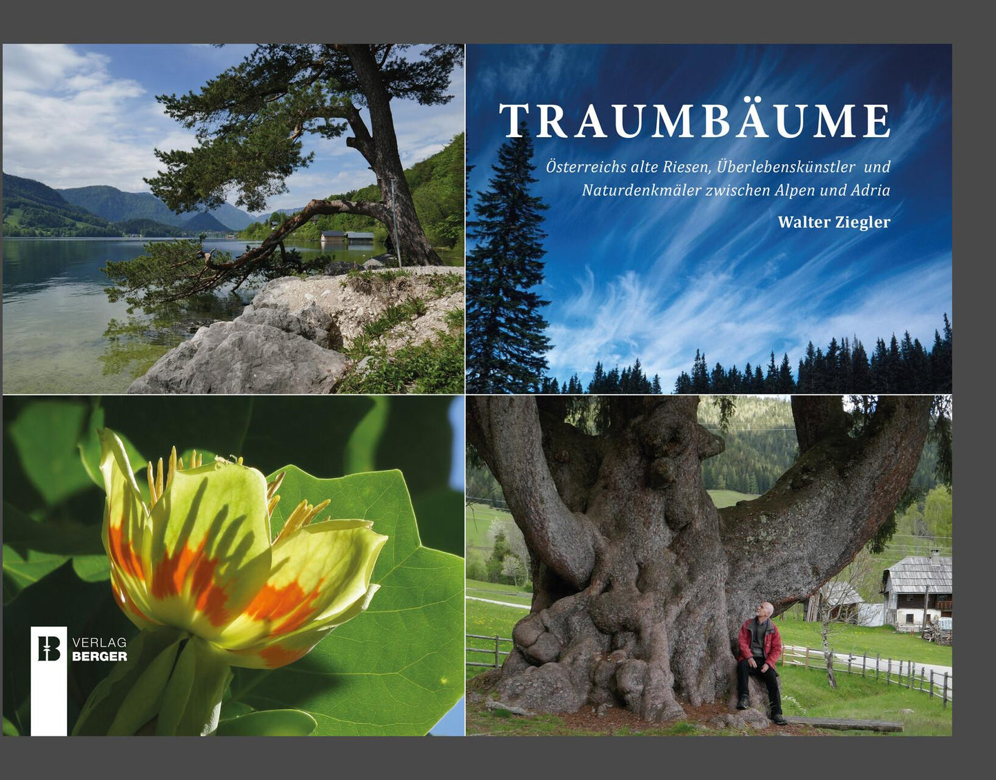 Traumbäume