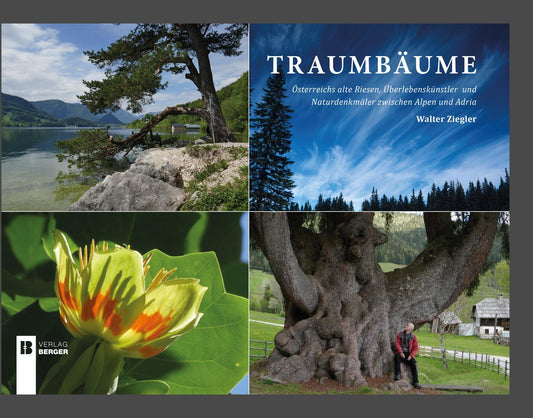 Traumbäume