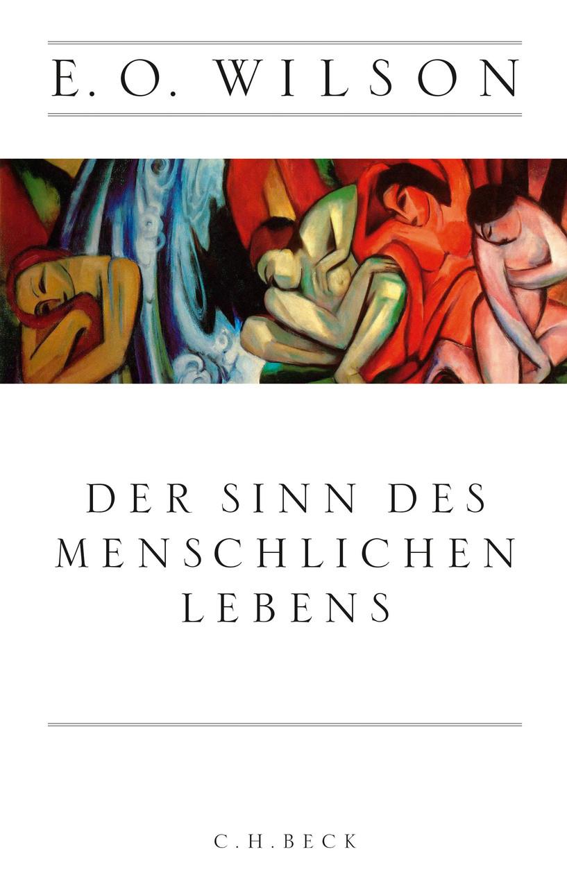 Buchcover: Der Sinn des menschlichen Lebens