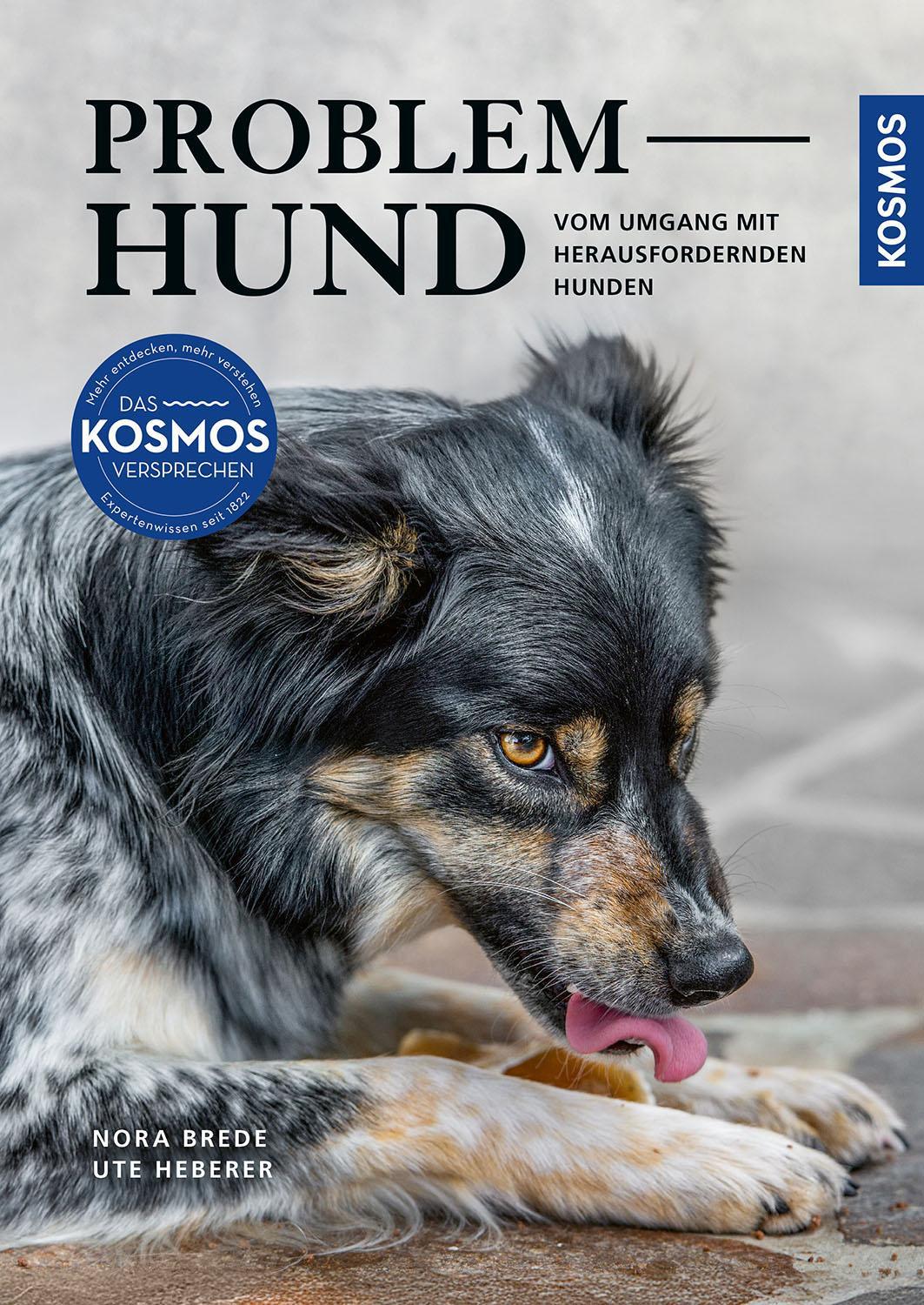Problem Hund