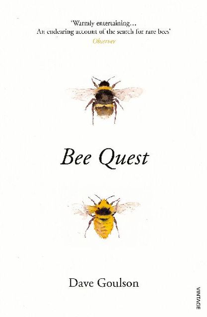 Bee Quest