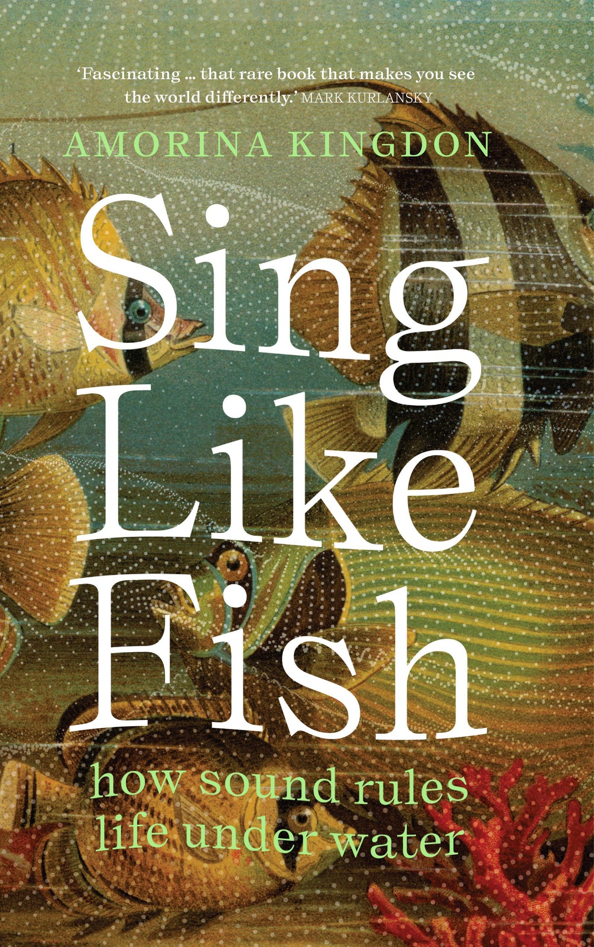 Buchcover: Sing Like Fish