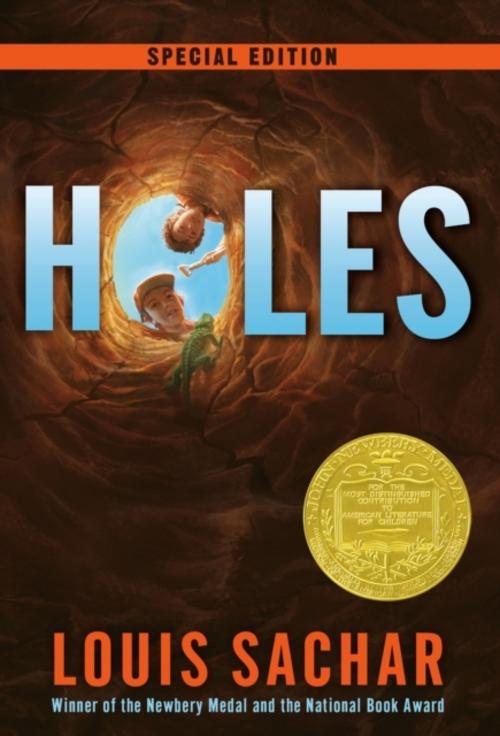 Buchcover: Holes