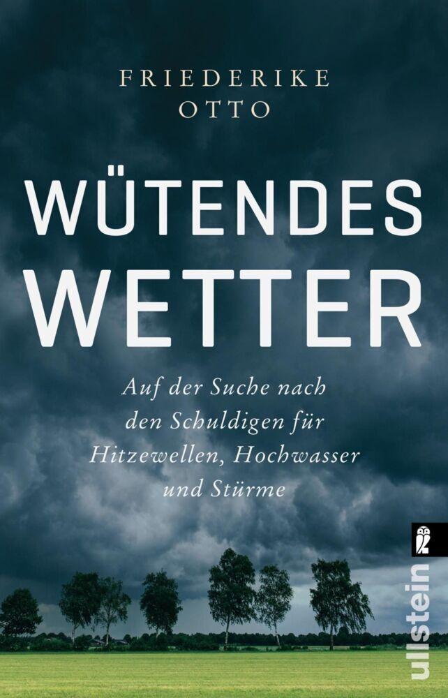 Buchcover: Wütendes Wetter