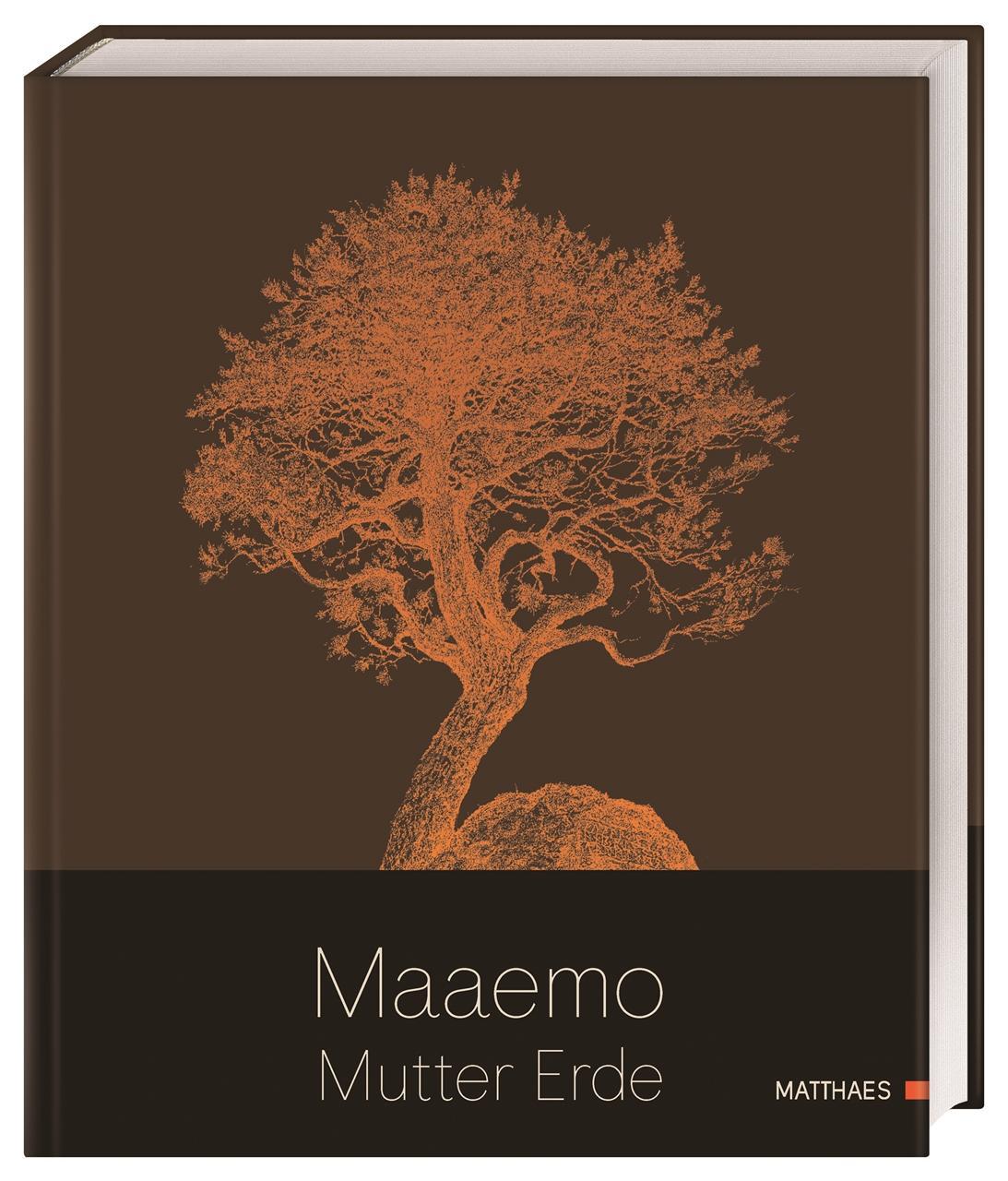 Buchcover: Maaemo