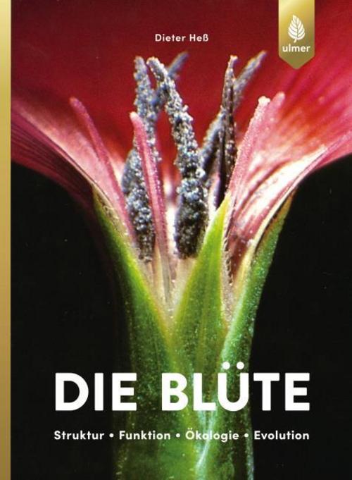 Buchcover: Die Blüte