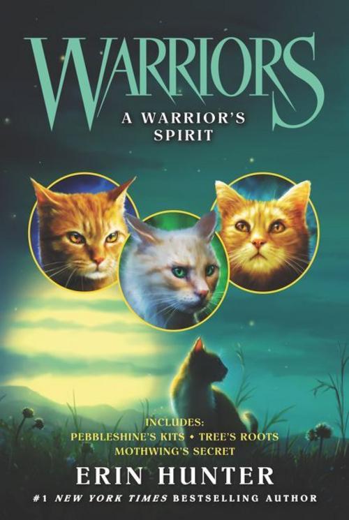 Buchcover: Warriors