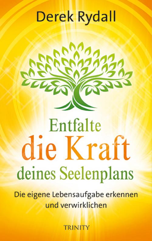 Buchcover: Entfalte die Kraft deines Seelenplans