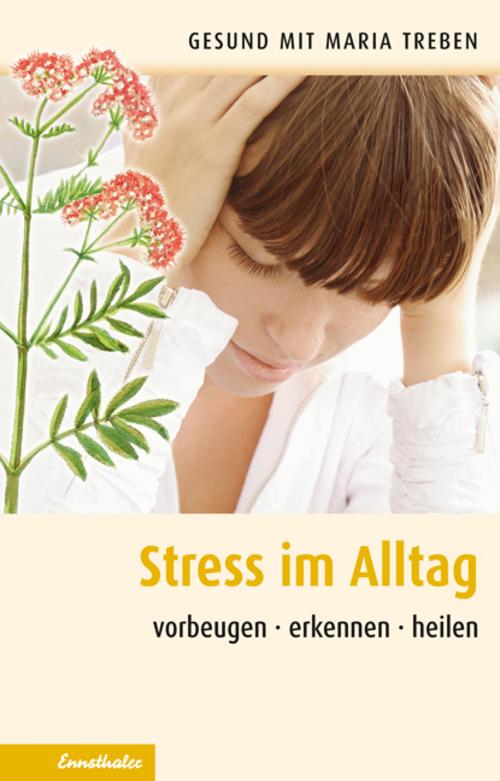 Buchcover: Streß im Alltag