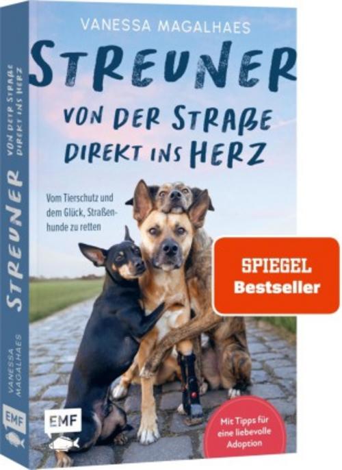 Streuner - von der Straße direkt ins Herz
