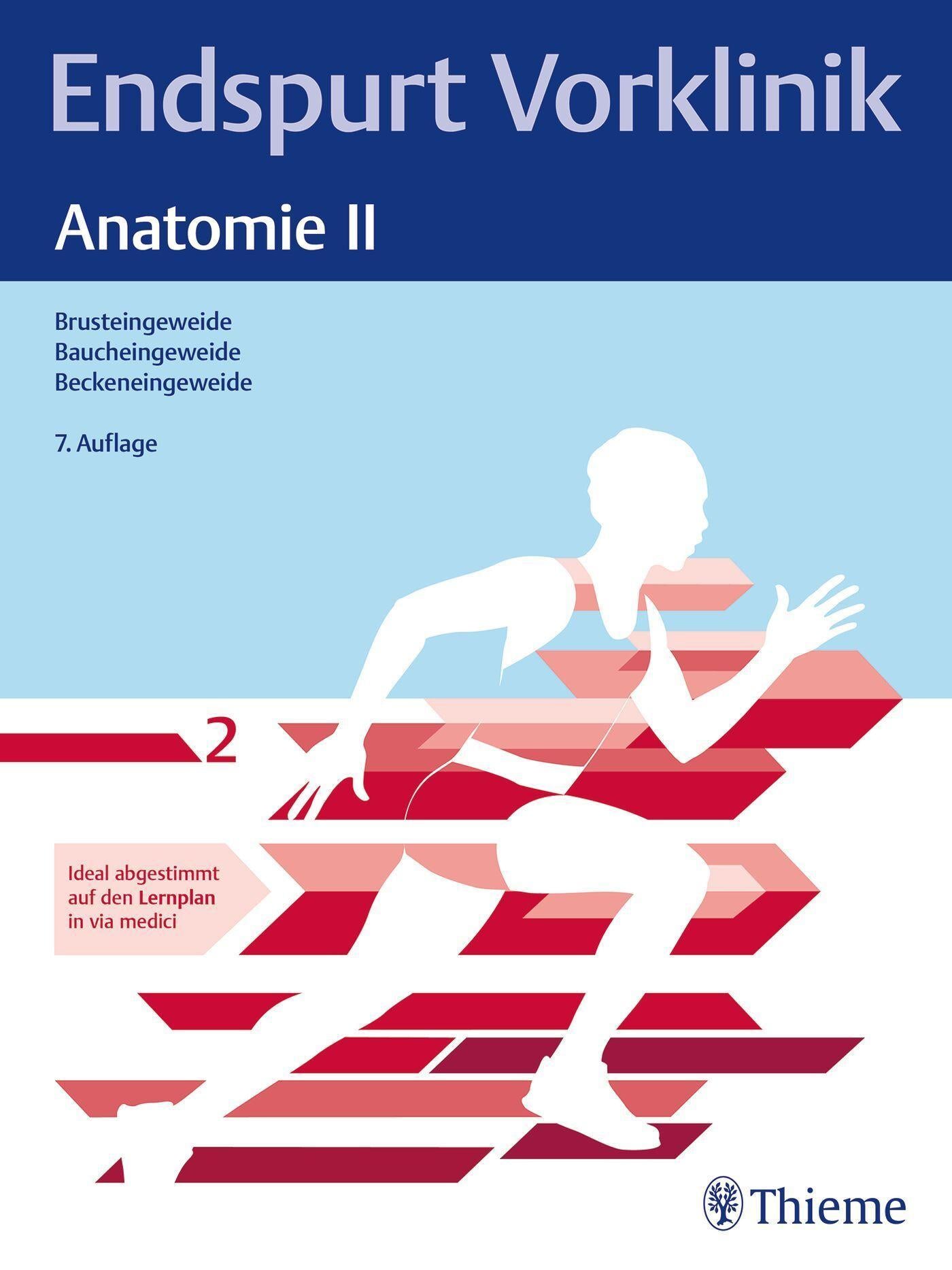 Endspurt Vorklinik: Anatomie II
