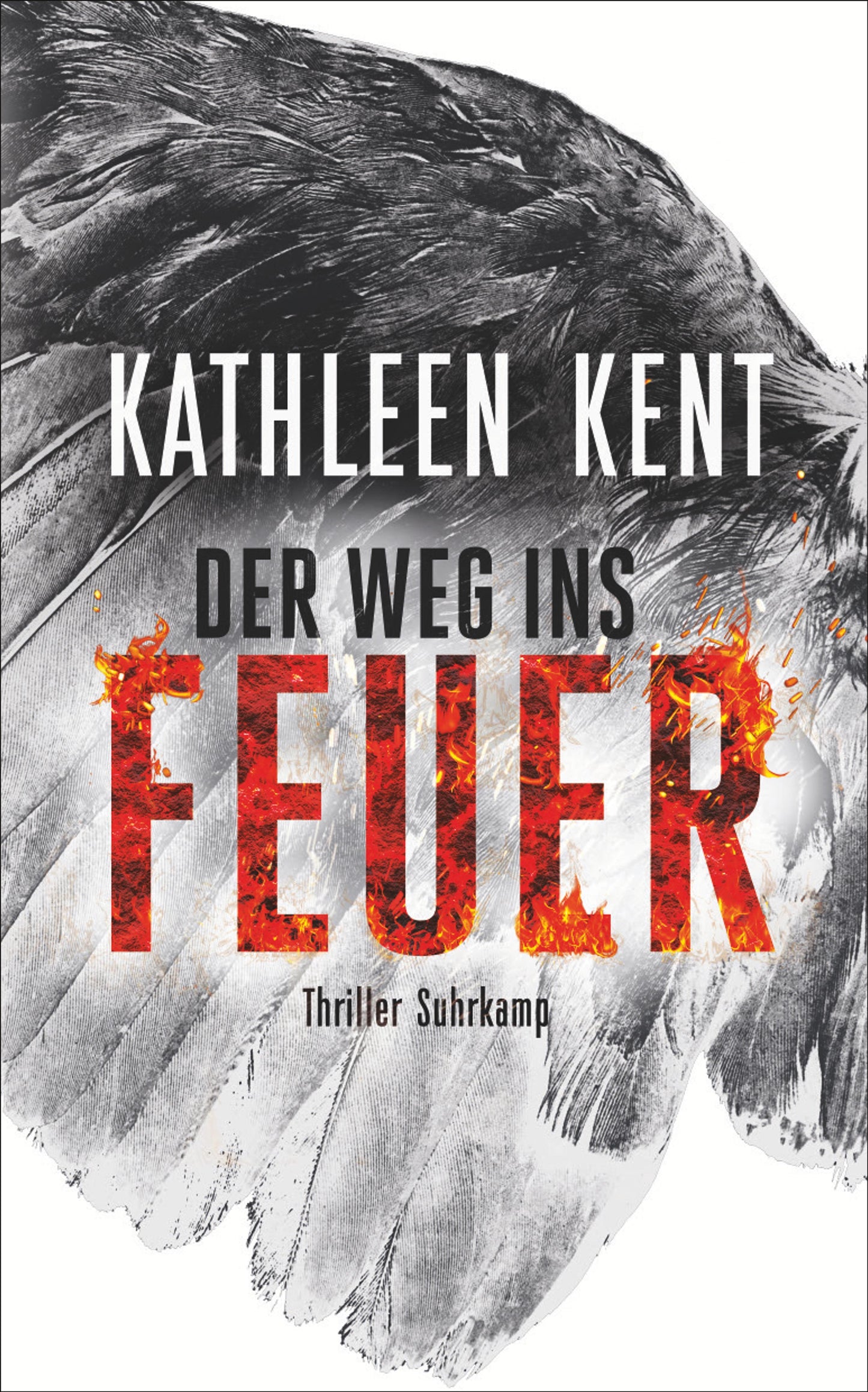 Der Weg ins Feuer - Thriller (Betty-Rhyzyk-Serie 2)