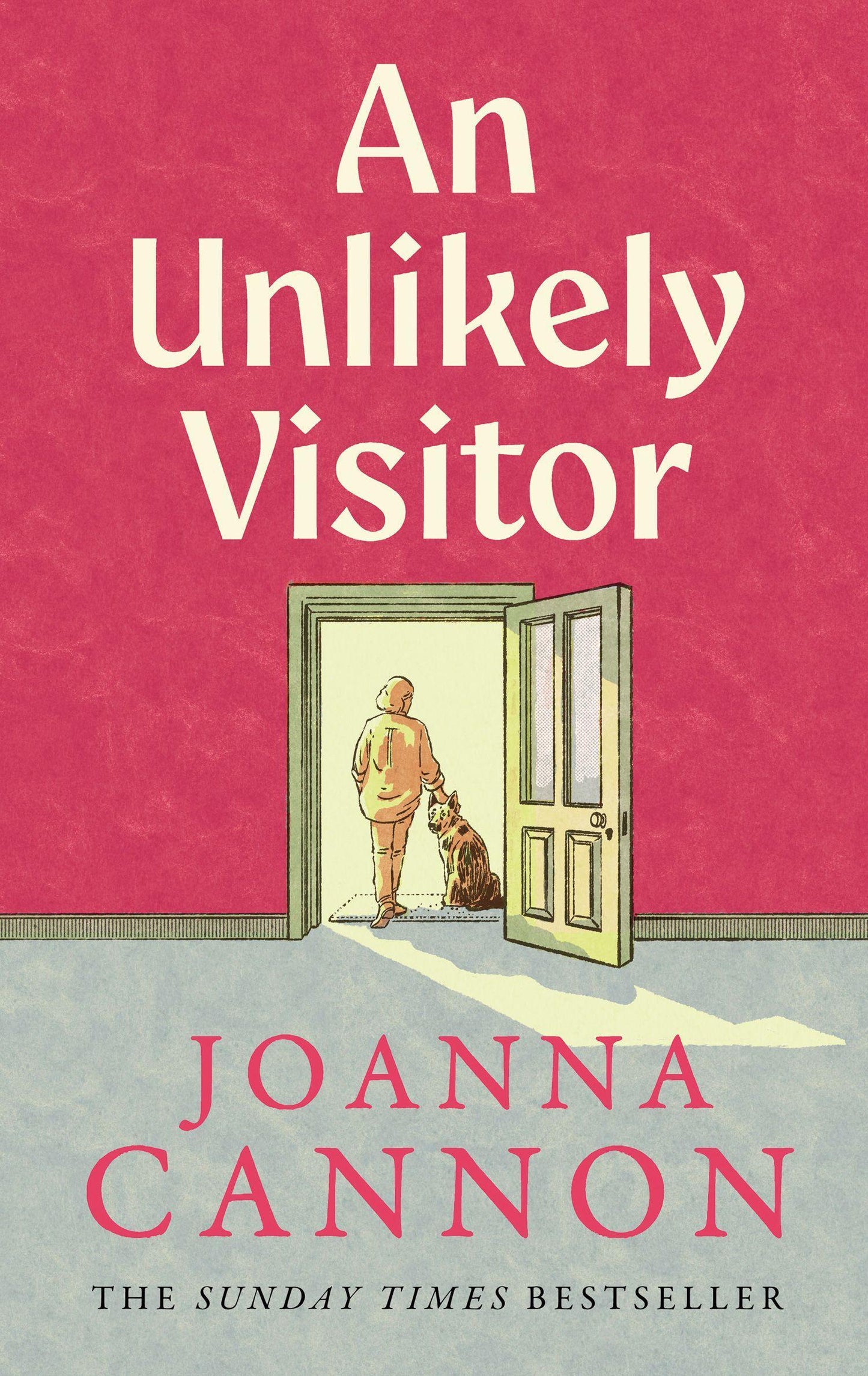 UNLIKELY VISITOR HB