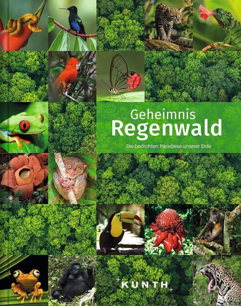 KUNTH Bildband Geheimnis Regenwald