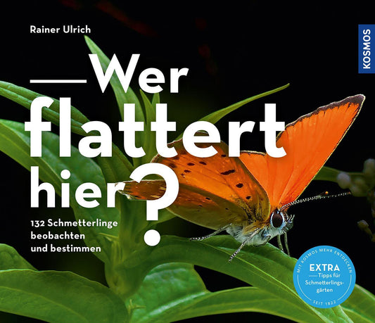Buchcover: Wer flattert hier