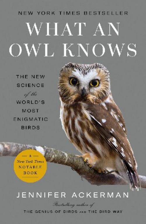 Buchcover: What an Owl Knows