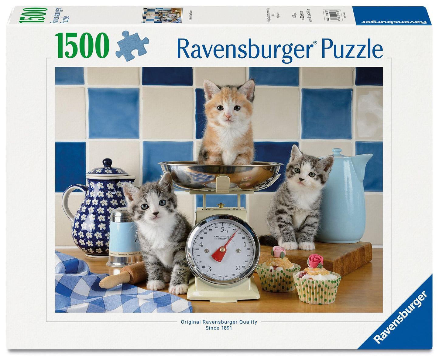 Kätzchen in der Küche