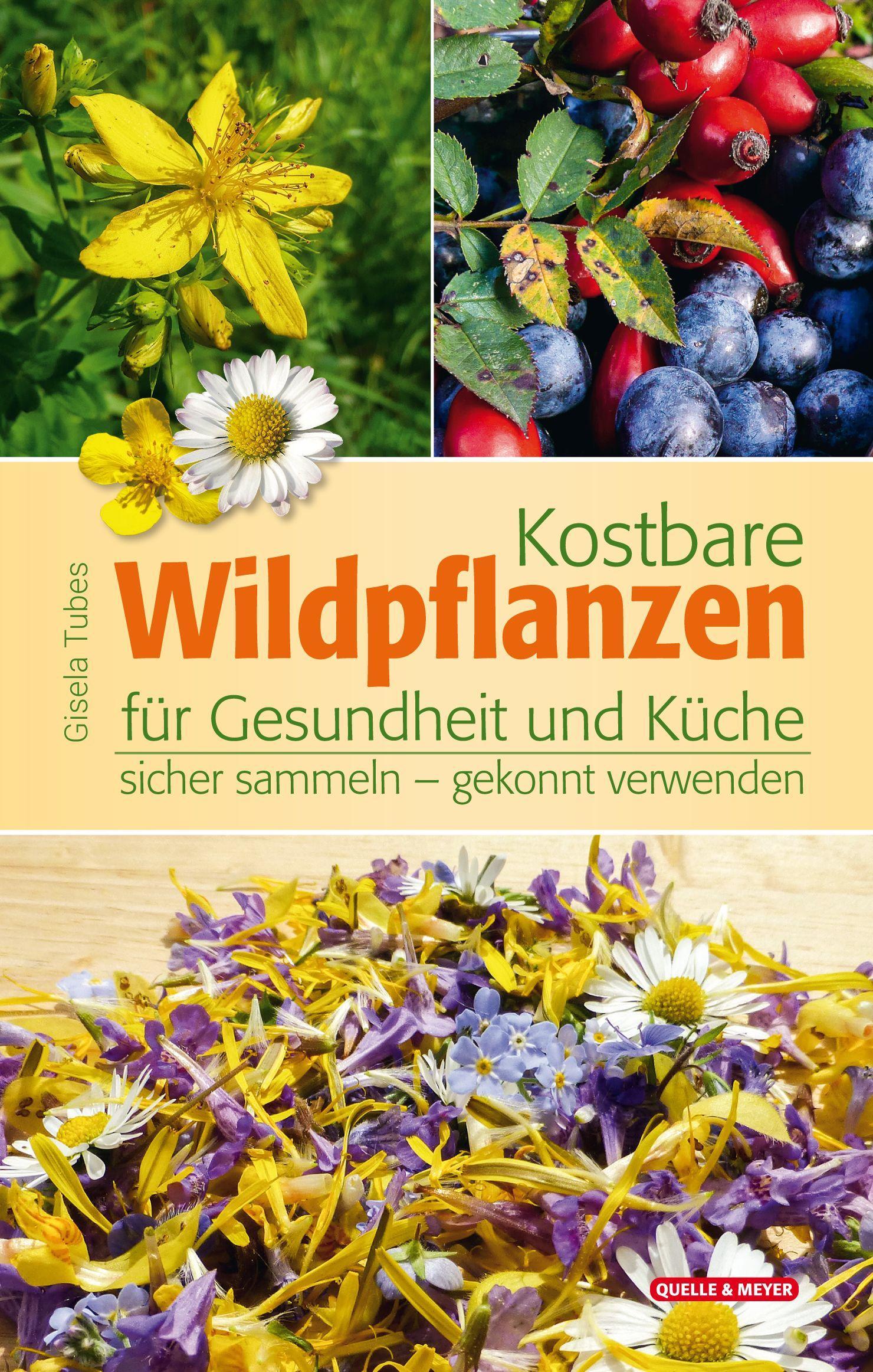 Buchcover: Kostbare Wildpflanzen für Gesundheit und Küche