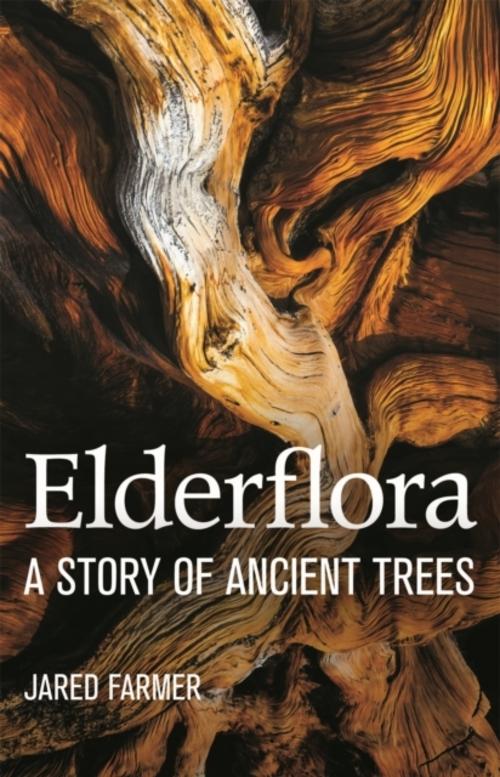Buchcover: Elderflora