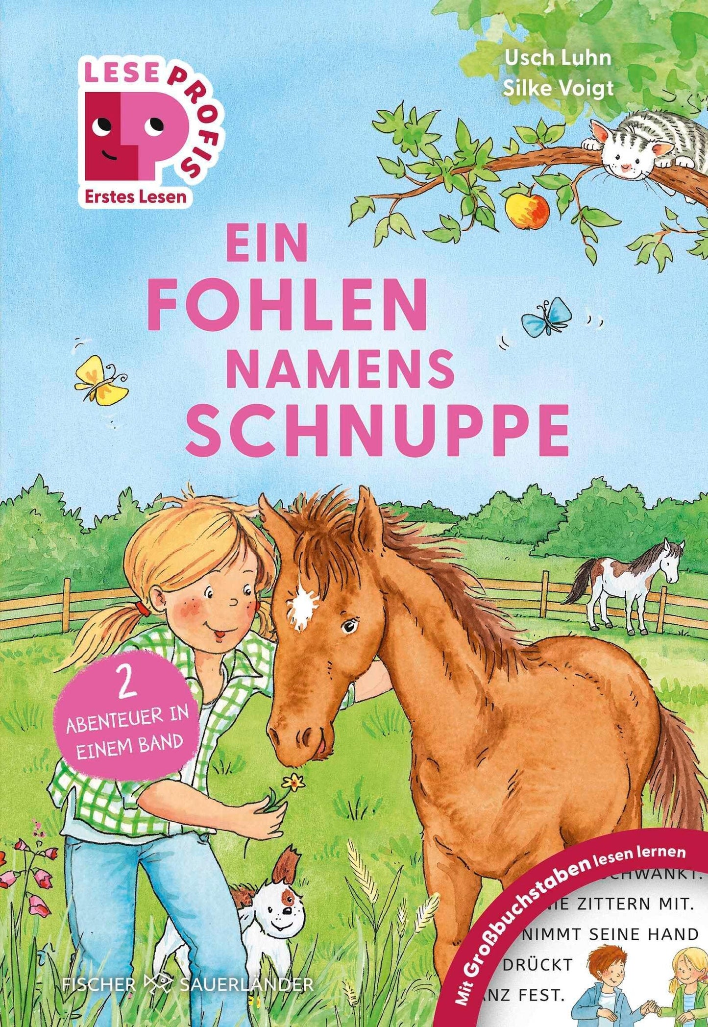 Luhn, Usch/Leseprofis - GROSSBUCHSTABEN: EIN FOHLEN NAMENS SCHNUPPE, 1. Klasse