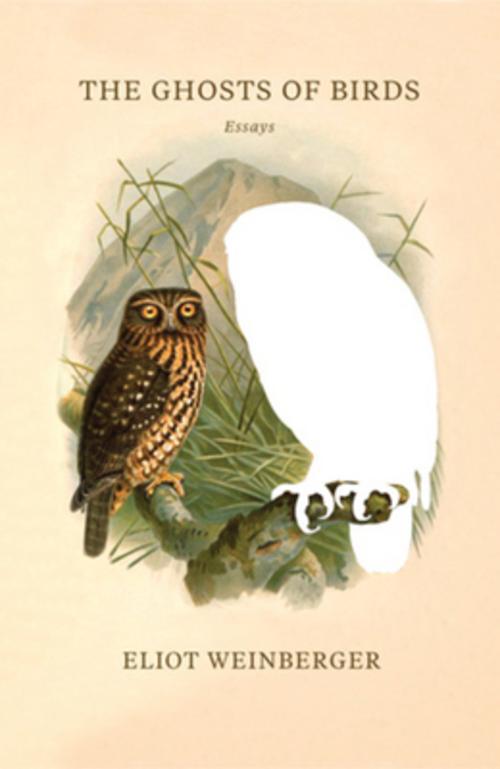 Buchcover: The Ghosts of Birds