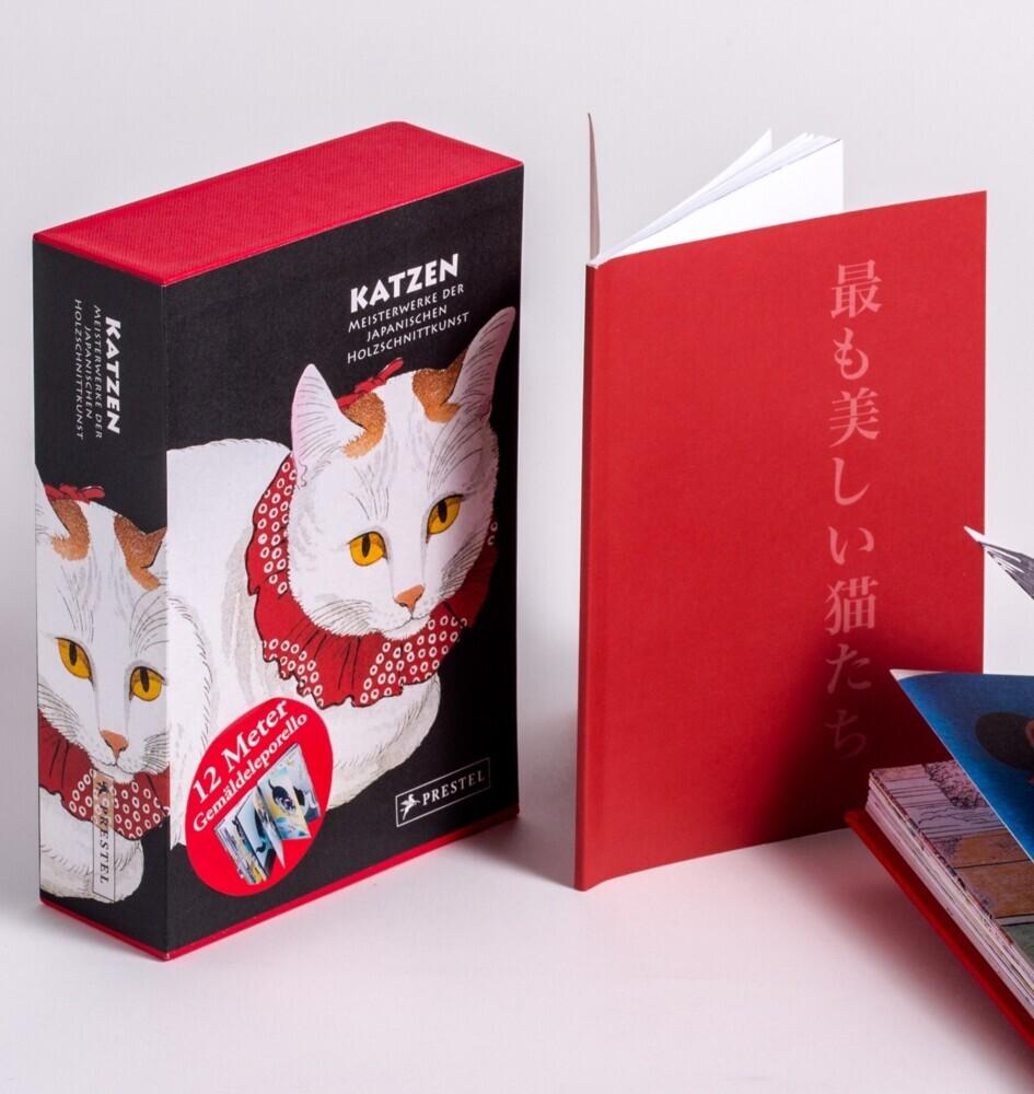 Katzen