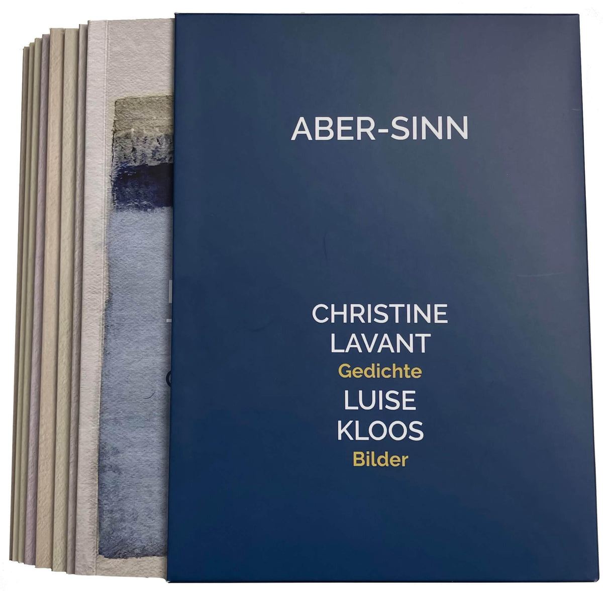 Buchcover: ABER-SINN