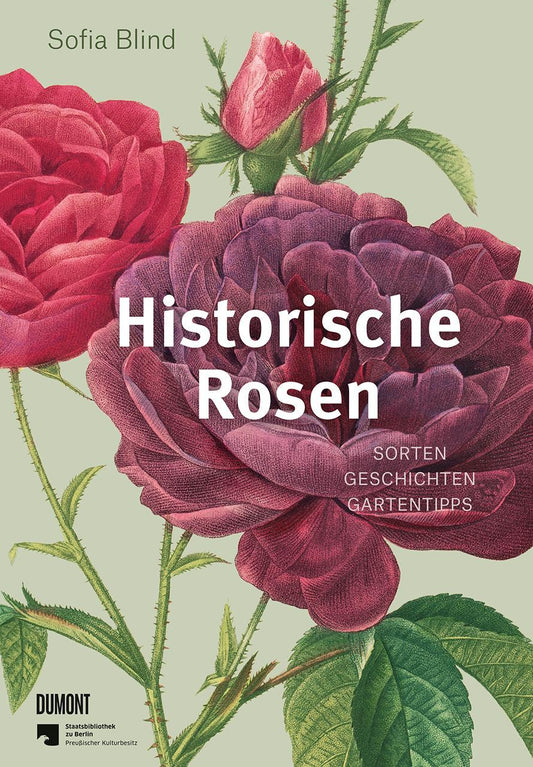 Historische Rosen: Sorten – Geschichten – Gartentipps