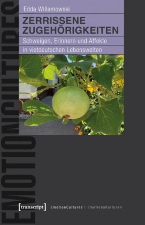 Buchcover: Zerrissene Zugehörigkeiten