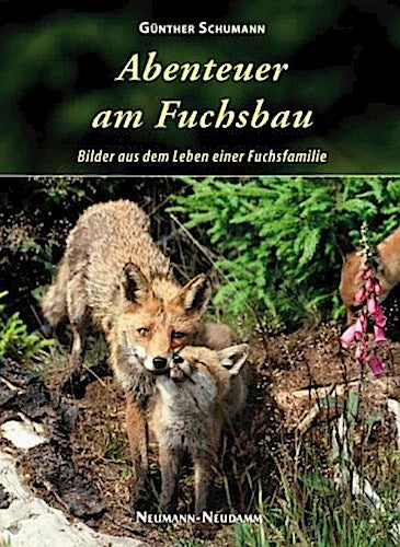 Buchcover: Abenteuer am Fuchsbau