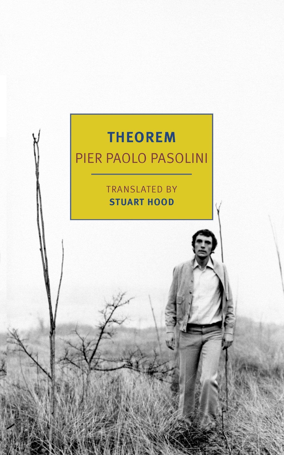 Buchcover: Theorem